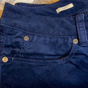 NWOT Talbots Size 12 curvy blue Velvet pants